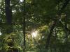 CRW_6071.jpg