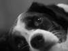 One Crazy Eye