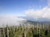 Clingmans Dome